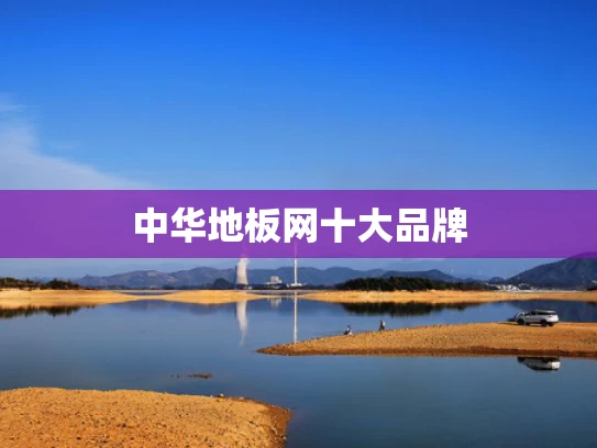中华地板网十大品牌