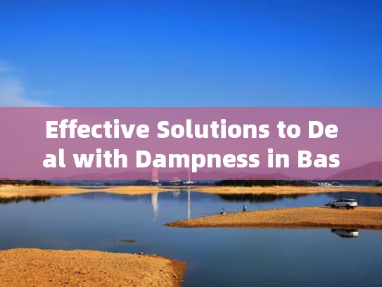 Effective Solutions to Deal with Dampness in Basements