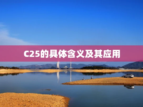 C25的具体含义及其应用