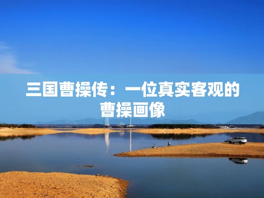 三国曹操传：一位真实客观的曹操画像