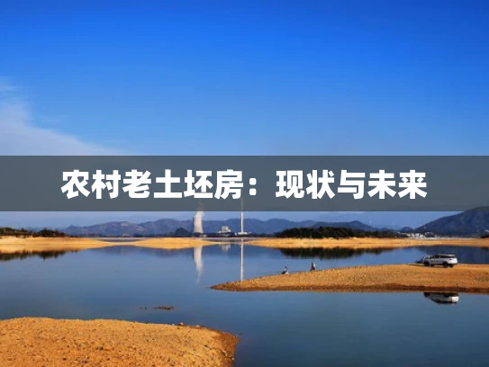 农村老土坯房：现状与未来