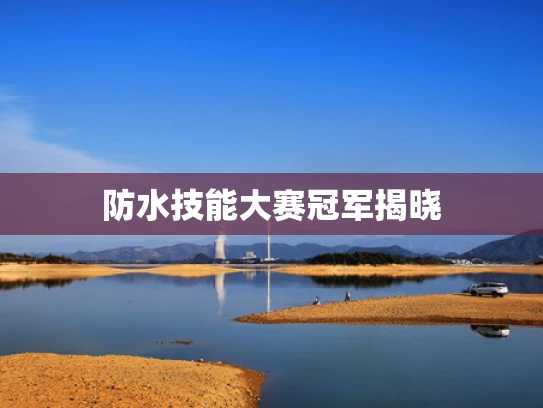 防水技能大赛冠军揭晓