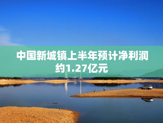 中国新城镇上半年预计净利润约1.27亿元