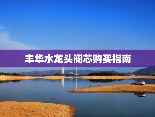 丰华水龙头阀芯购买指南