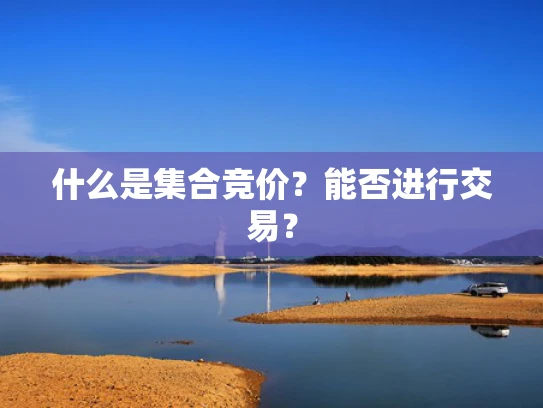 什么是**竞价？能否进行交易？