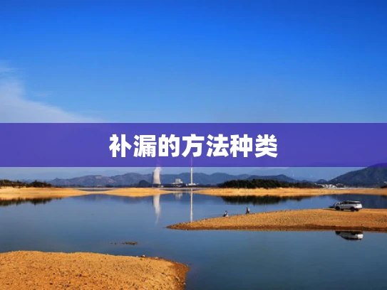 补漏的方法种类
