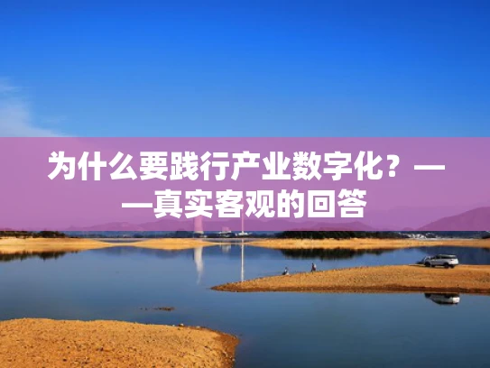 为什么要践行产业数字化？——真实客观的回答
