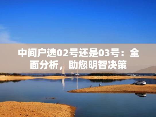 中间户选02号还是03号：全面分析，助您明智决策