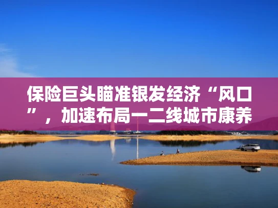 保险巨头瞄准银发经济“风口”，加速布局一二线城市康养市场