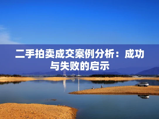 二手拍卖成交案例分析：成功与失败的启示