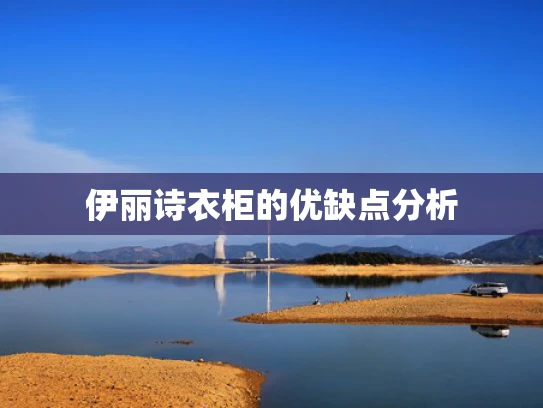 伊丽诗衣柜的优缺点分析