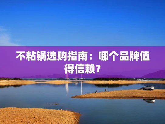 不粘锅选购指南：哪个品牌值得信赖？