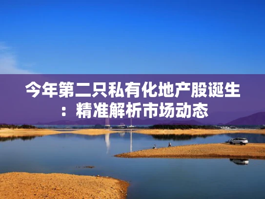 今年第二只私有化地产股诞生：精准解析市场动态