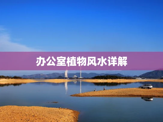 办公室植物风水详解