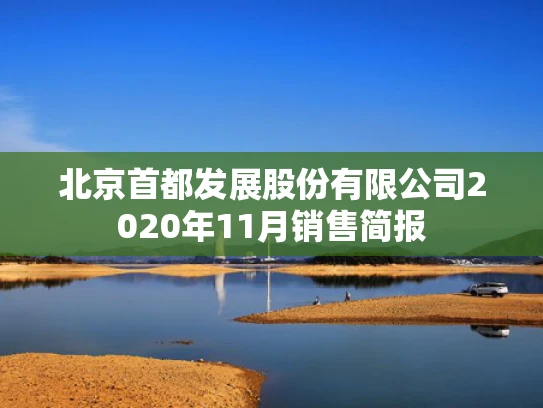 北京首都发展股份有限公司2020年11月销售简报