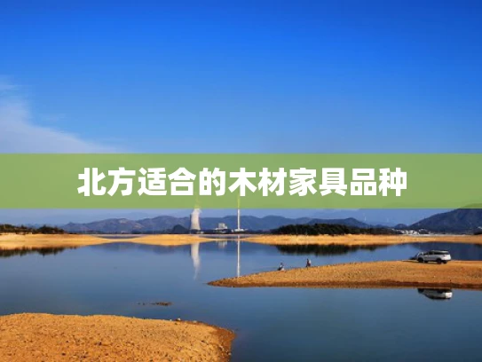 北方适合的木材家具品种