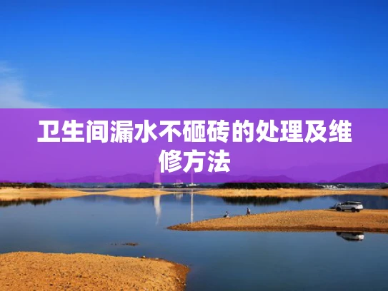 卫生间漏水不砸砖的处理及维修方法