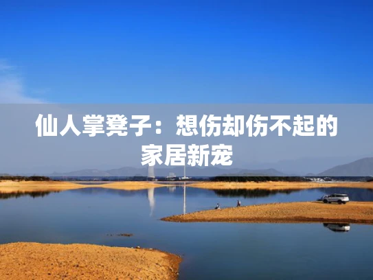 仙人掌凳子：想伤却伤不起的家居新宠