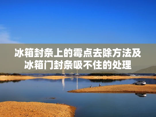 冰箱封条上的霉点去除方法及冰箱门封条吸不住的处理