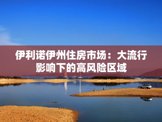 伊利诺伊州住房市场：大流行影响下的高风险区域