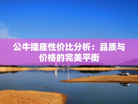 公牛插座性价比分析：品质与价格的完美平衡