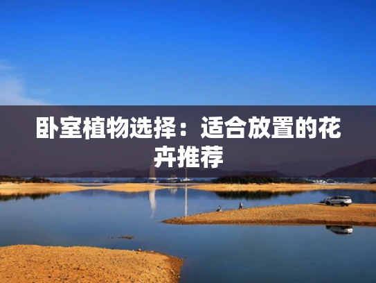 卧室植物选择：适合放置的花卉推荐