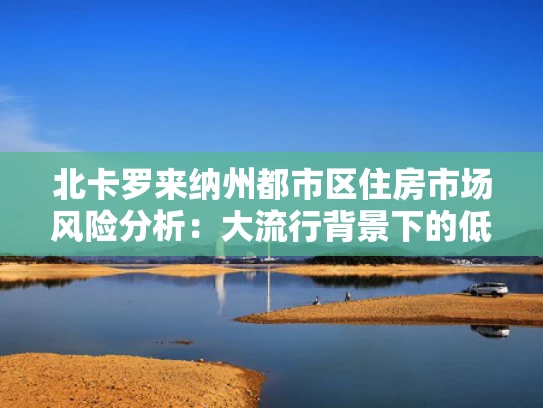 北卡罗来纳州都市区住房市场风险分析：大流行背景下的低风险解析