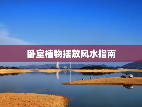 卧室植物摆放风水指南