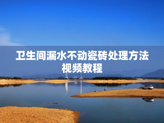 卫生间漏水不动瓷砖处理方法视频教程
