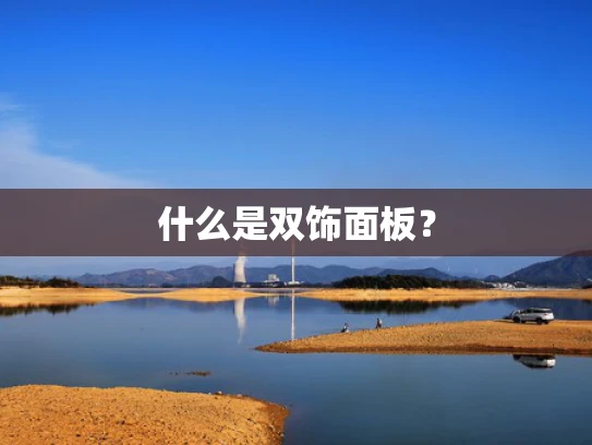 什么是双饰面板？