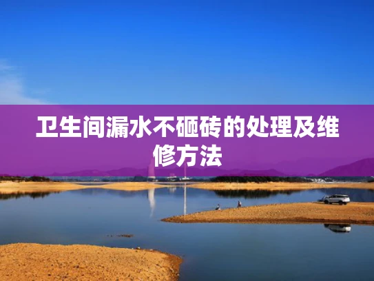 卫生间漏水不砸砖的处理及维修方法
