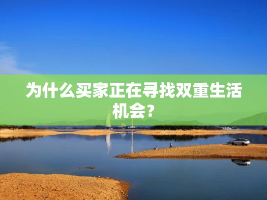 为什么买家正在寻找双重生活机会？
