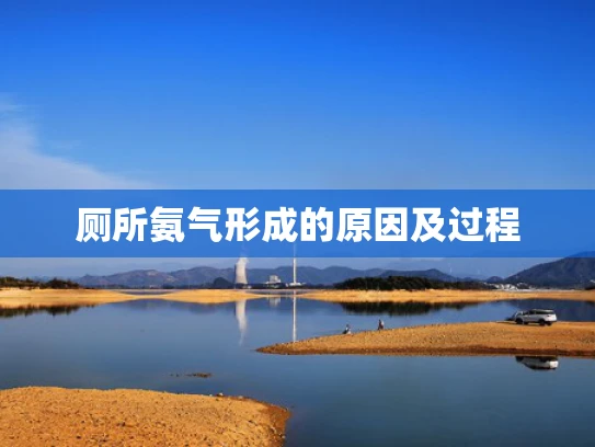 厕所氨气形成的原因及过程