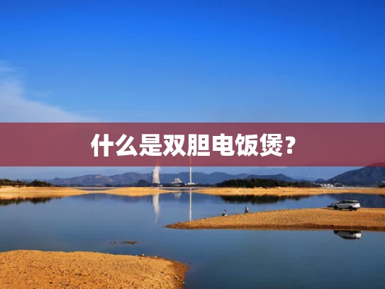 什么是双胆电饭煲？