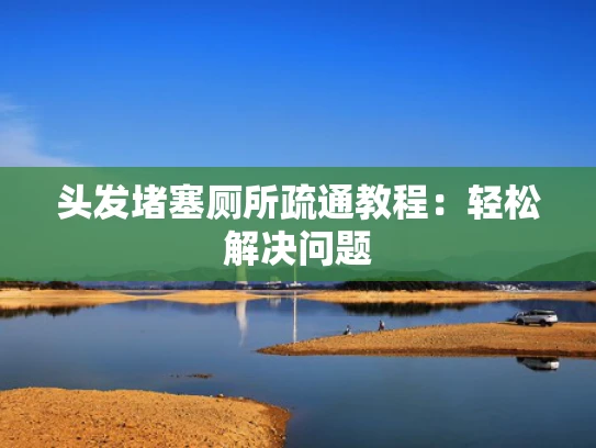 头发堵塞厕所疏通教程：轻松解决问题
