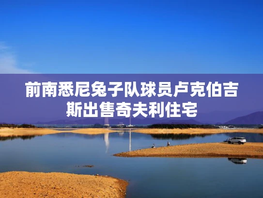 前南悉尼兔子队球员卢克伯吉斯出售奇夫利住宅