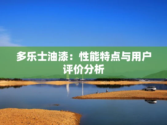 多乐士油漆：性能特点与用户评价分析
