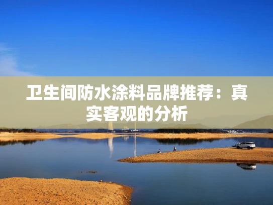 卫生间防水涂料品牌推荐：真实客观的分析