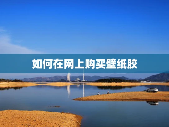如何在网上购买壁纸胶
