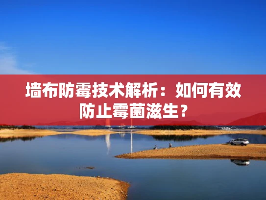 墙布防霉技术解析：如何有效防止霉菌滋生？