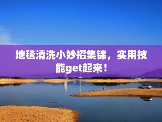 地毯清洗小妙招集锦，实用技能get起来！