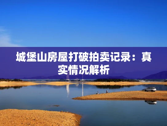 城堡山房屋打破拍卖记录：真实情况解析