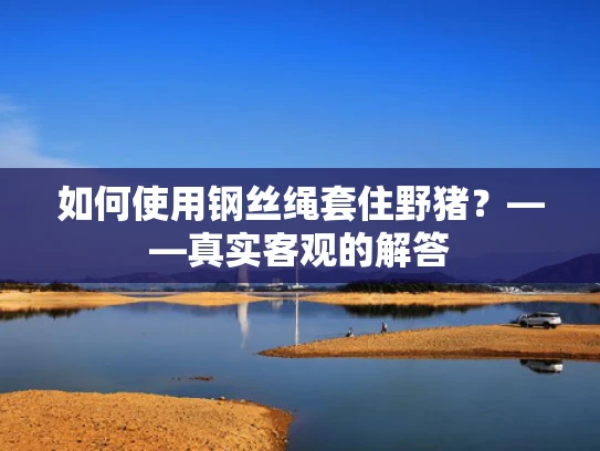 如何使用钢丝绳套住野猪？——真实客观的解答