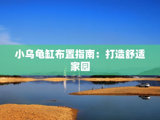 小乌龟缸布置指南：打造舒适家园