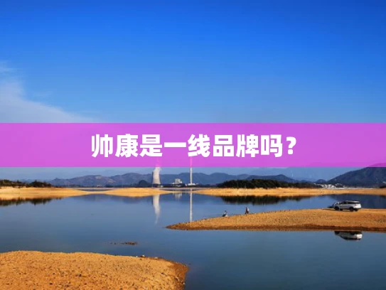 帅康是一线品牌吗？