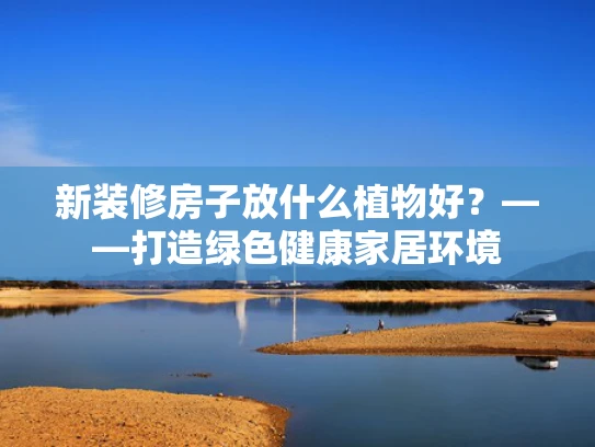 新装修房子放什么植物好？——打造绿色健康家居环境
