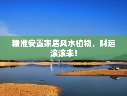 精准安置家居风水植物，财运滚滚来！
