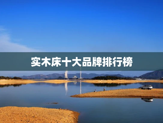 实木床十大品牌排行榜