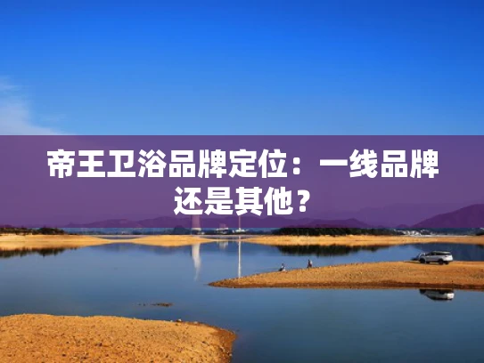 帝王卫浴品牌定位：一线品牌还是其他？
