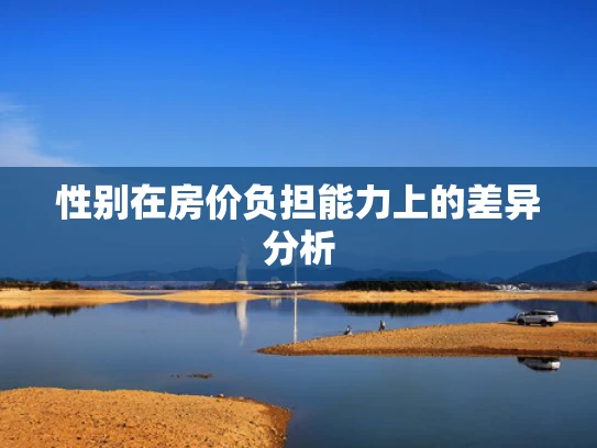 性别在房价负担能力上的差异分析